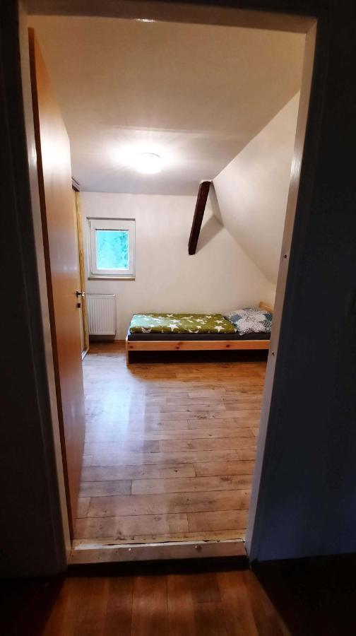 Villa Dům u lesa - Nové Hamry Exterior foto